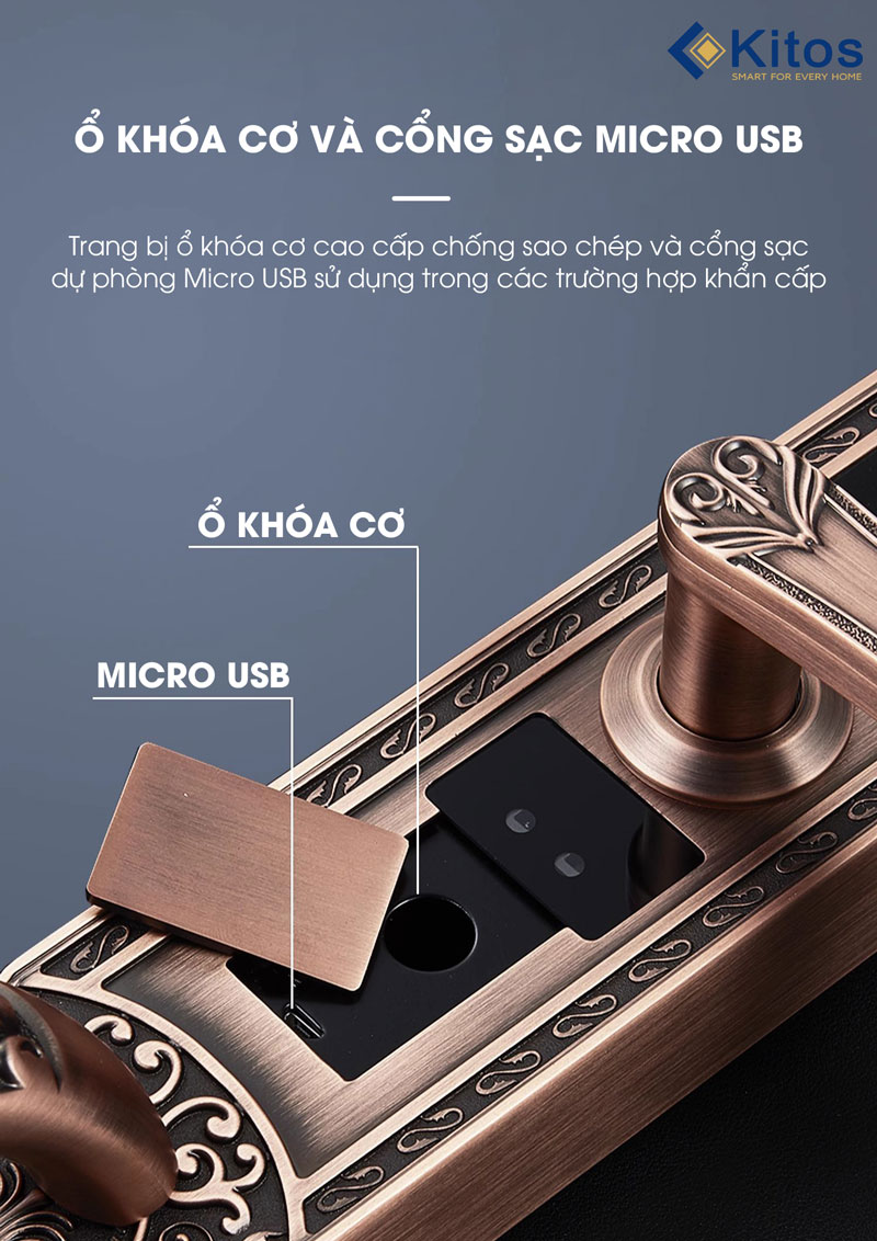 kitos c600 10 1